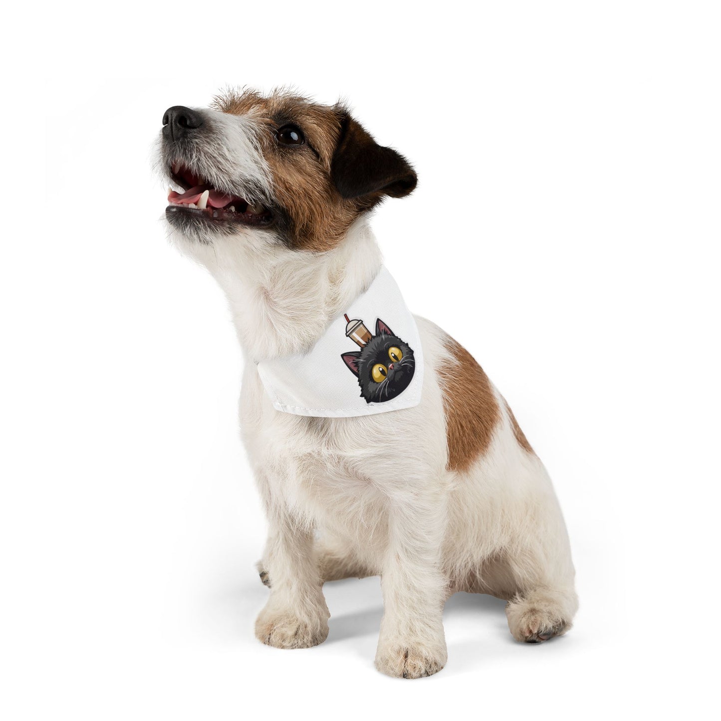 Pet Bandana Collar - a-0001