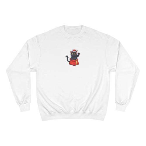 a-0009DEC - Unisex Champion Sweatshirt Style 1