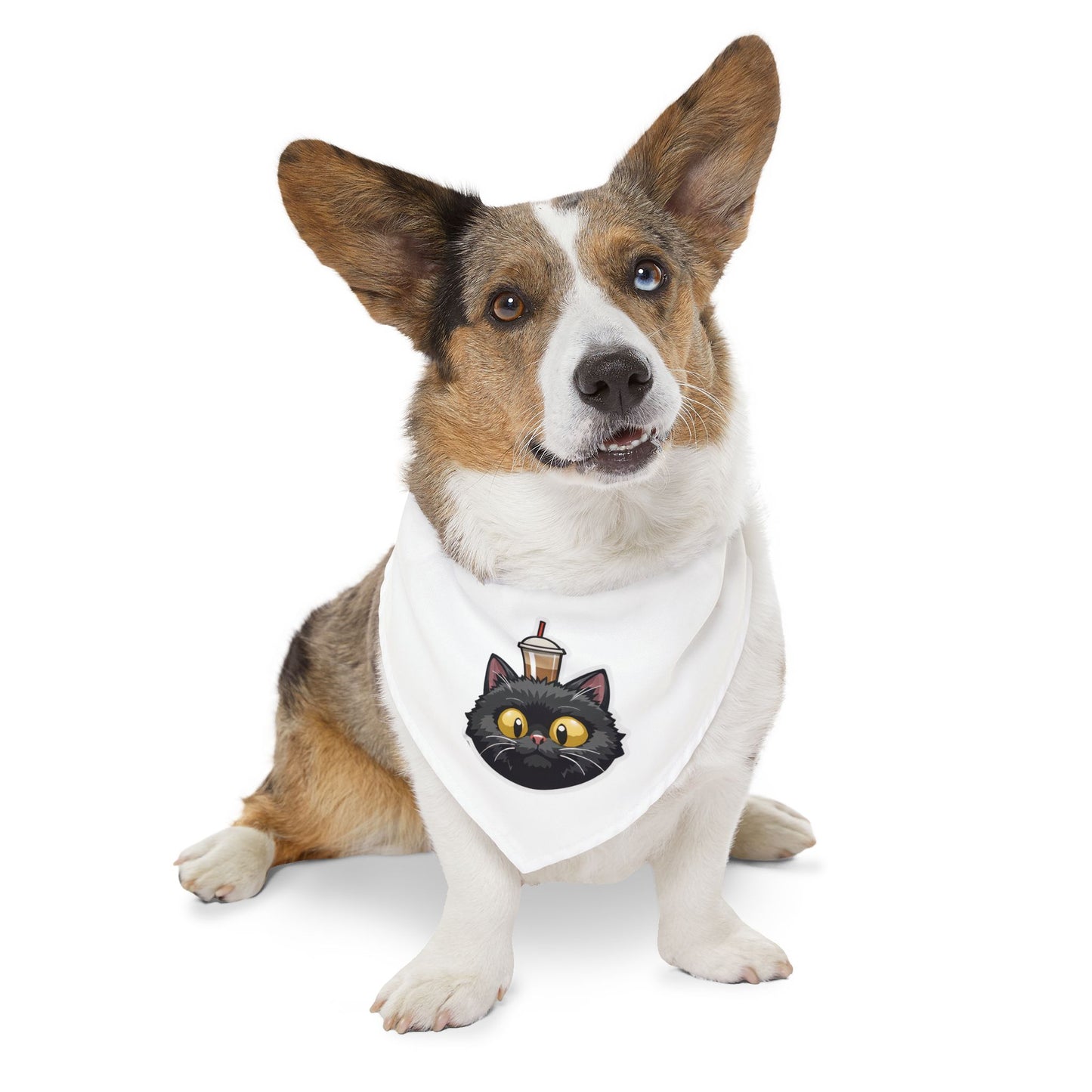 Pet Bandana Collar - a-0001
