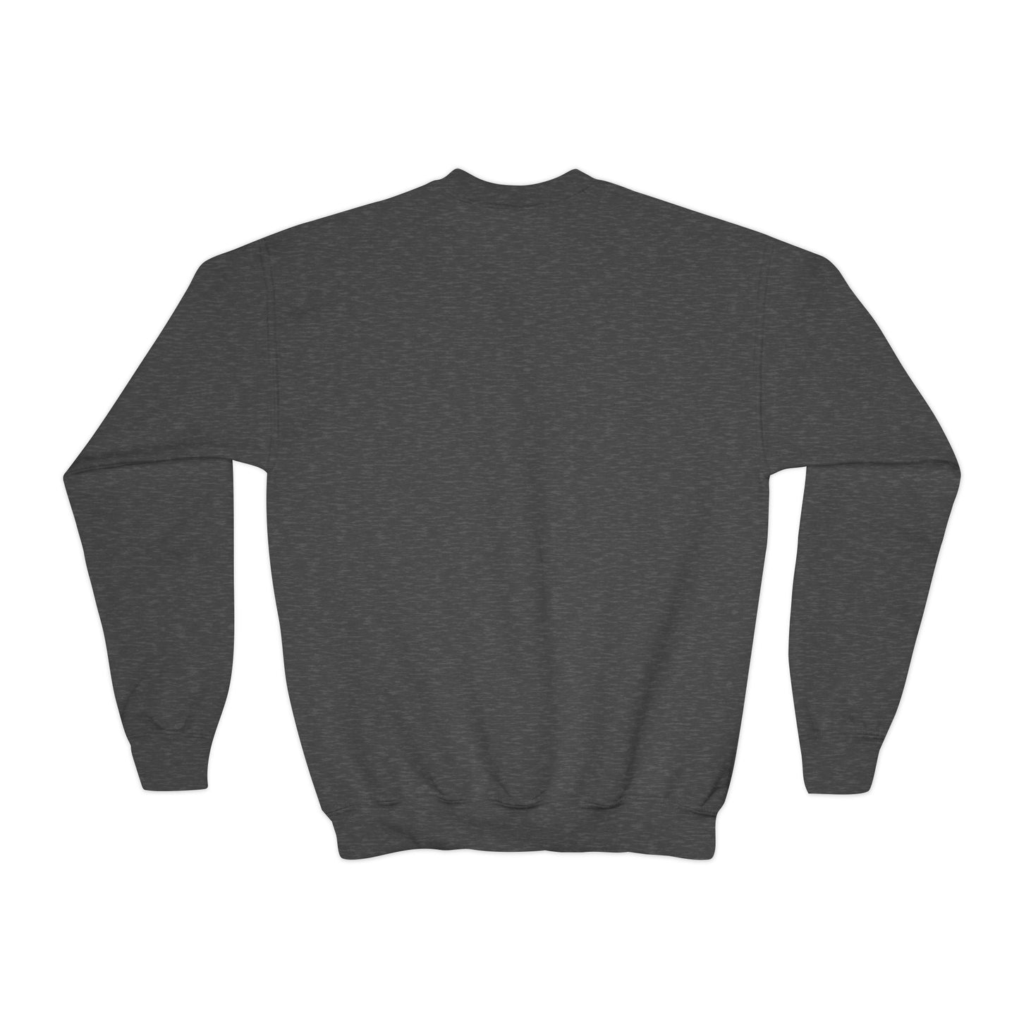 a-0001 - Youth Sweatshirt Style 1