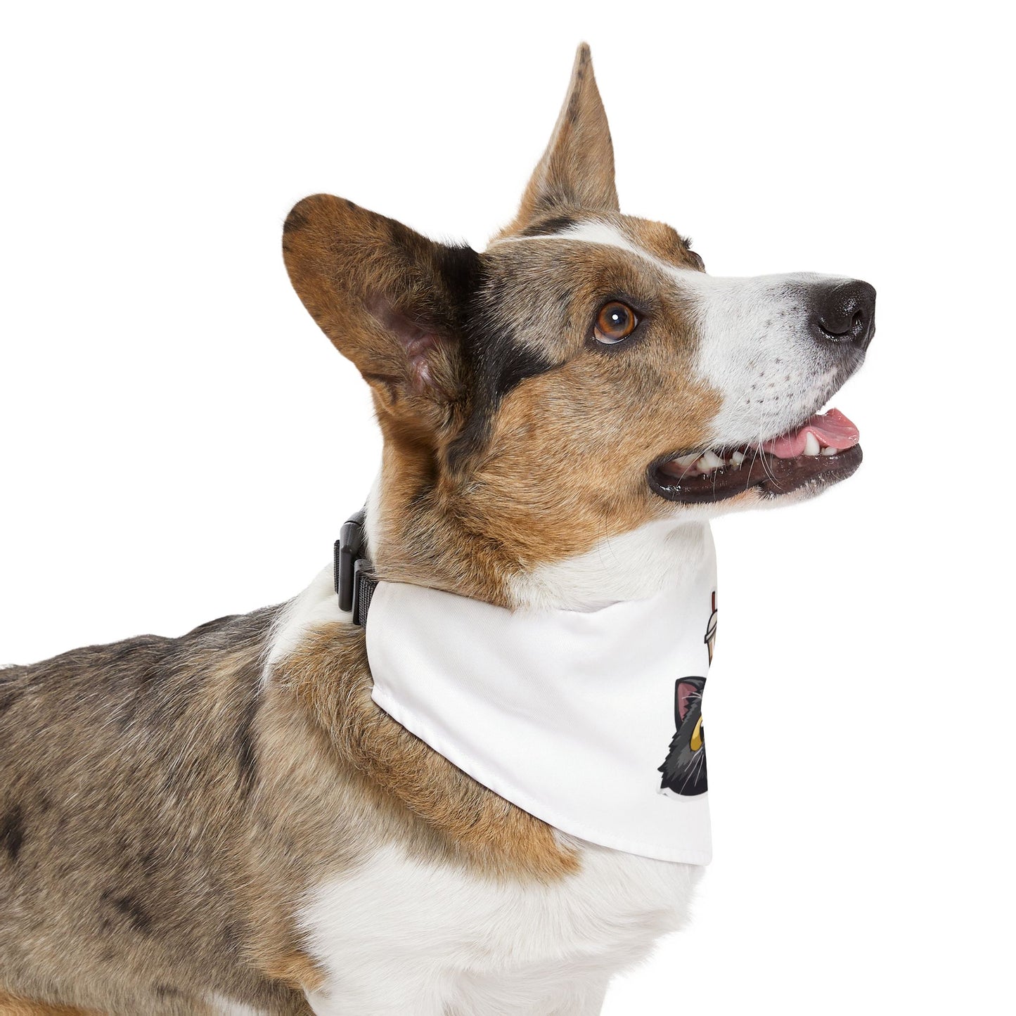 Pet Bandana Collar - a-0001