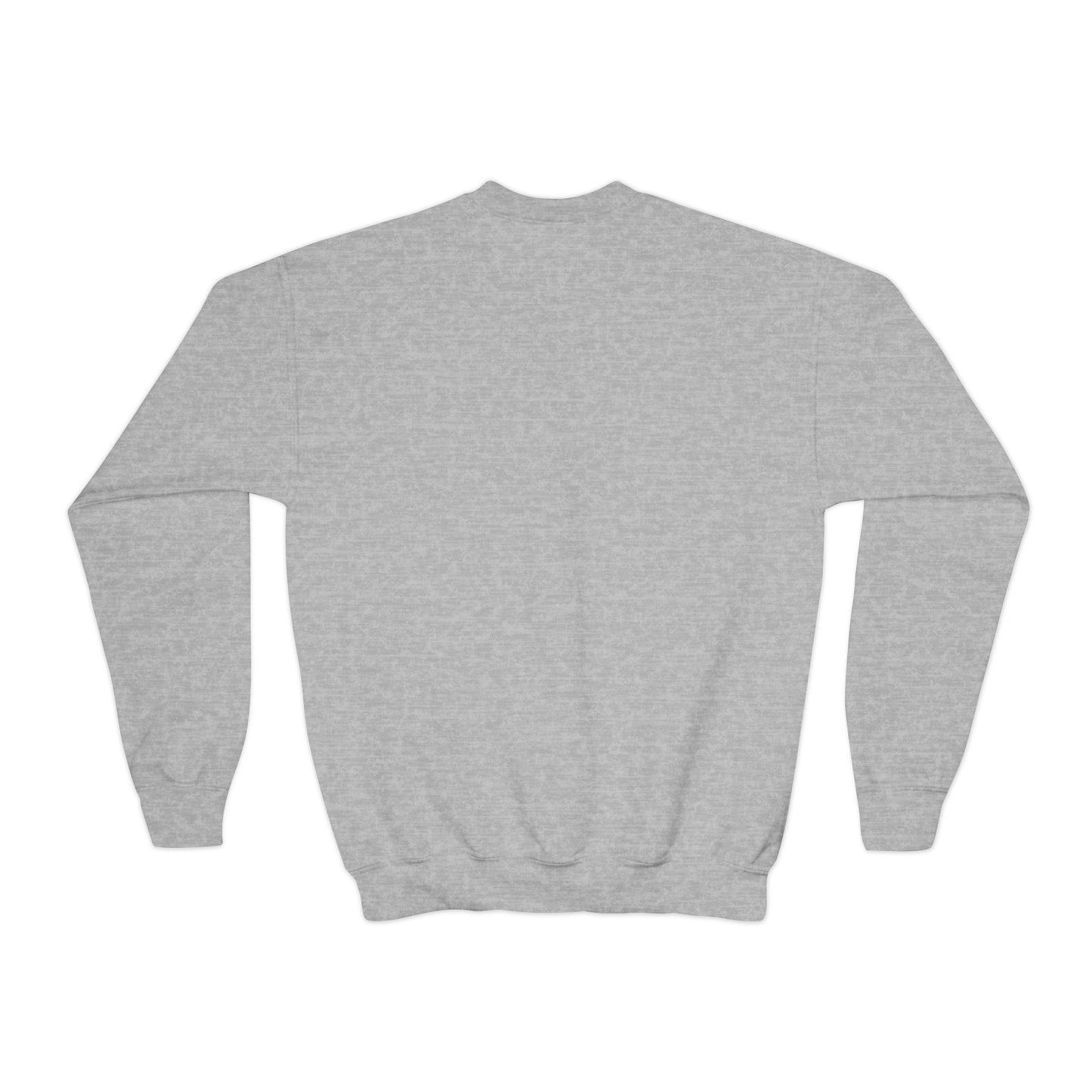a-0001 - Youth Sweatshirt Style 1